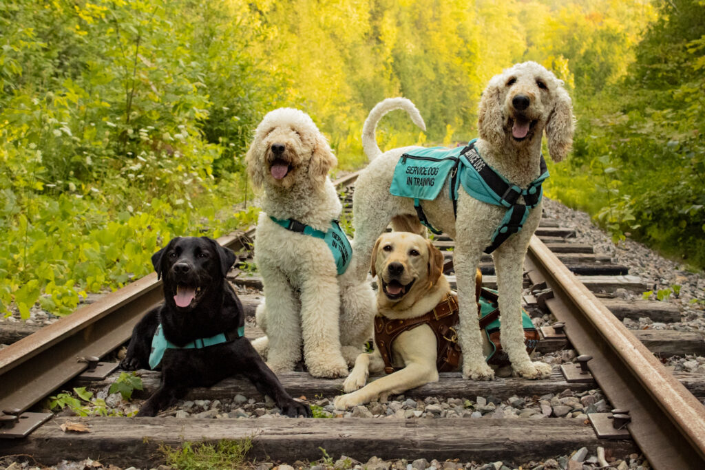 service dogs of canine partners canada